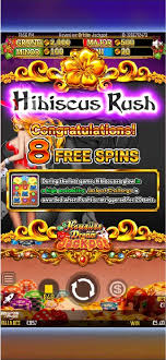 Hibiscus Flower Slot: Game Features 🌺🎰